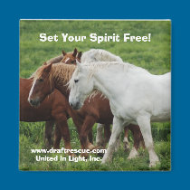Set Your Spirit Free! Magnet