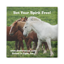 Set Your Spirit Free! Magnet by 1drafthorse Set Your Spirit Free! Magnet
