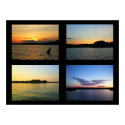 Setted Sun Views posters