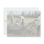 Setting a waterfowl capture net invite