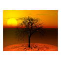 Setting sun & tree posters