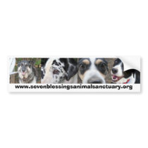Seven Blessings Animal Sanctuary bumper stickers