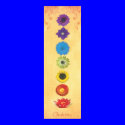 Seven Chakras Banner posters