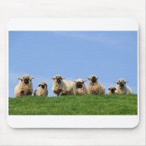 seven curious rasta sheep mouse pad