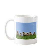 seven curious rasta sheep coffee mugs