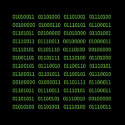 Seven Dirty Binary Codes Tee Shirts