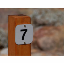 Seven Sign photo sculptures