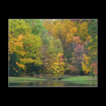 Seven Springs Fall Bridge Postcard