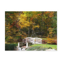 Seven Springs Fall Bridge Postcard