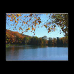 Seven Springs Fall Trees and Pond Postcard