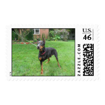 "Seven" the Doberman Postage Stamps
