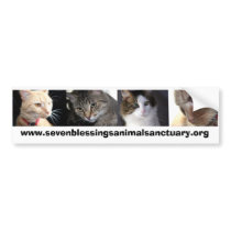 sevenblessingsanimalsanctuary.org bumper stickers