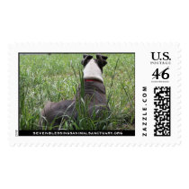 sevenblessingsanimalsanctuary.org postage