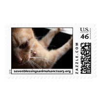 sevenblessingsanimalsanctuary.org postage