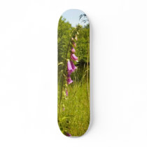 Several Beautiful Purple Finger Flowers In Grass skateboards by lifesphere Several Beautiful Purple Finger Flowers In Grass skateboards