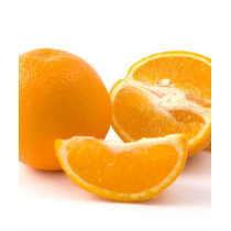 Several Juicy Oranges t-shirts