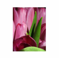 Several Pink Tulips photo sculptures