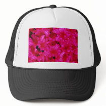 Several red azaleas  flowers hats