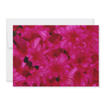 Several red azaleas invitations