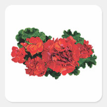 Several Red Geraniums Stickers
