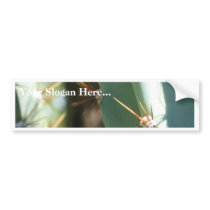 Several Thorns On A Cactus bumper stickers by lifesphere Several Thorns On A Cactus bumper stickers