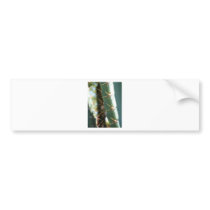 Several Thorns On A Cactus bumper stickers by lifesphere Several Thorns On A Cactus bumper stickers