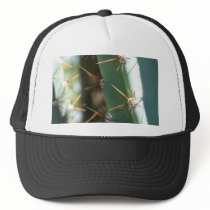 Several Thorns On A Cactus hats by lifesphere Several Thorns On A Cactus hats
