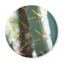 Several Thorns On A Cactus magnets by lifesphere Several Thorns On A Cactus magnets