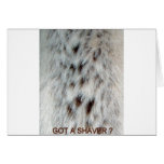 fur, chest, hair, women, woman, lady, ladies,
