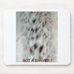 fur, chest, hair, women, woman, lady, ladies,