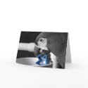 Severe Macaw Greeting Card