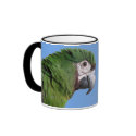 Severe Macaw Mug by MenagerieMayhem Severe Macaw Mug