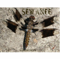 Sewanee Dragonfly - OlioStudios.com photo sculptures