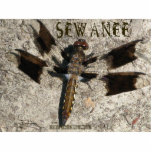 Sewanee Dragonfly - OlioStudios.com Photo Cut Outs