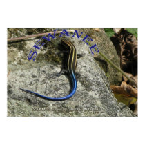 Sewanee Reptile - OlioStudios.com posters