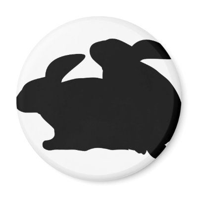 sex bunnies fridge magnet by Tomaniac