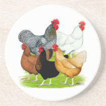 Sex-linked Chickens Quintet Beverage Coasters
