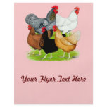 Sex-linked Chickens Quintet flyers