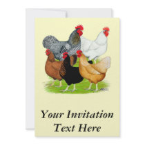 Sex-linked Chickens Quintet Custom Invitations