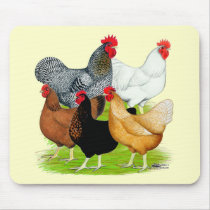 Sex-linked Chickens Quintet Mouse Pads