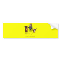 Sexual chocolate bumper stickers