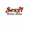 Sexy Biker Babe 2 t-shirts
