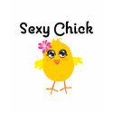 Sexy Chick 2 t-shirts