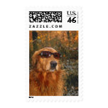 SEXY COOL SMART DEBONAIR DOG SUNGLASSES postage