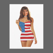 Sexy Funny Palin 2012 Postcard Palin t shirts postcards
