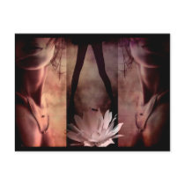 Sexy greetings postcards