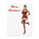 Sexy Palin Christmas(t shirt, xmas cards, buttons) Post Card