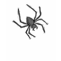 Sexy Spider Tees For Women t-shirts by naturetees Sexy Spider Tees For Women t-shirts