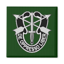 SF DUI 1 MAGNETS