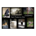 SF Zoo collage poster posters